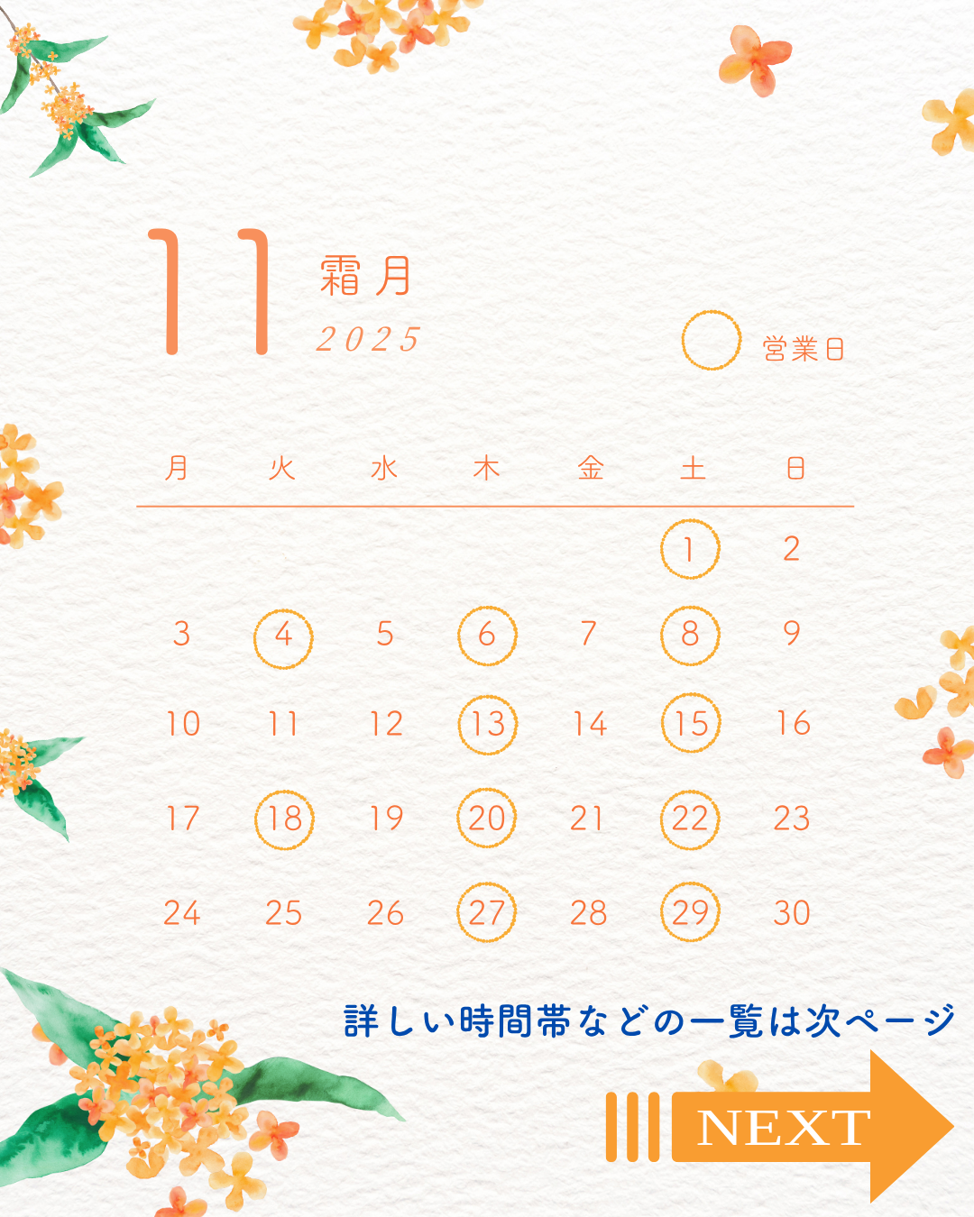 11月のスケジュール